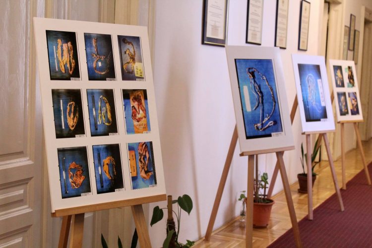 Povezi smrti naziv je izložbe povodom 26. godišnjice genocida